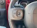 Fiat Panda 1.0 FireFly 70cv S&S Hybrid Cross Rosso - thumbnail 10