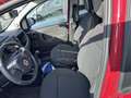 Fiat Panda 1.0 FireFly 70cv S&S Hybrid Cross Rosso - thumbnail 14