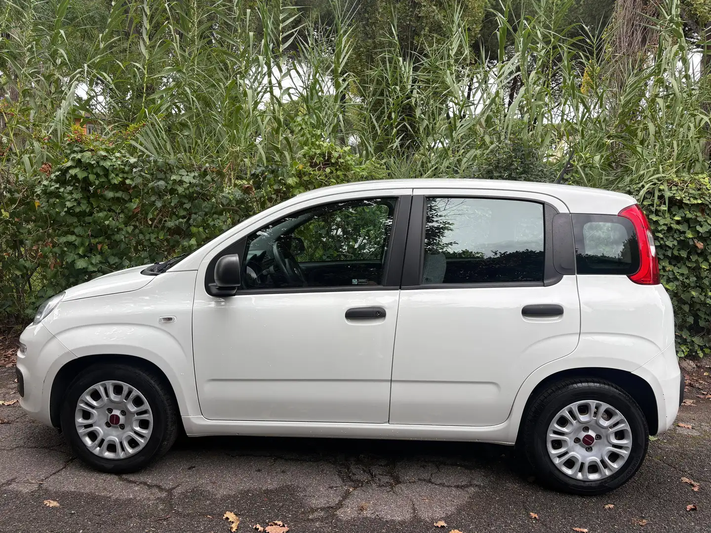 Fiat Panda 1.0 hybrid Easy Connect s