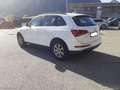 Audi Q5 2.0 TDI 143 CV quattro Bianco - thumbnail 3