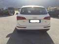 Audi Q5 2.0 TDI 143 CV quattro Bianco - thumbnail 4
