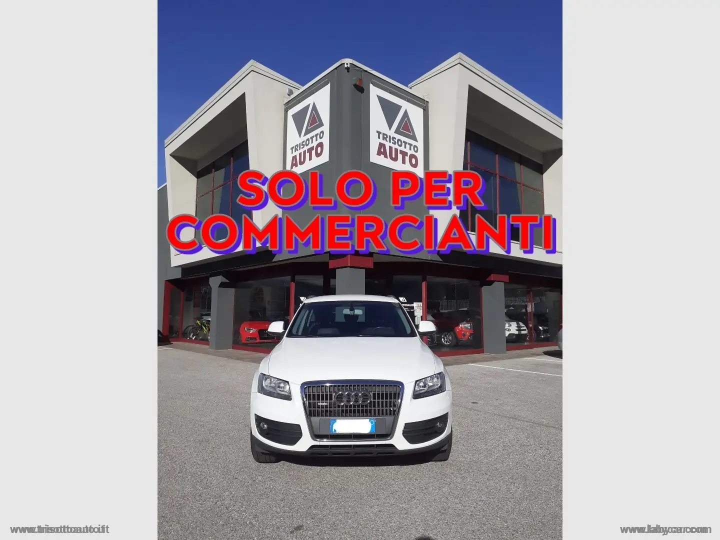 Audi Q5 2.0 TDI 143 CV quattro Bianco - 1