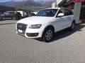 Audi Q5 2.0 TDI 143 CV quattro Bianco - thumbnail 2