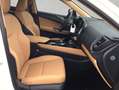 Lexus NX350h 4x4 Executive Alle Extras Modell2026 Blanc - thumbnail 12