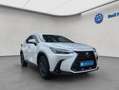 Lexus NX350h 4x4 Executive Alle Extras Modell2026 Blanc - thumbnail 5