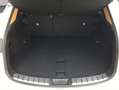Lexus NX350h 4x4 Executive Alle Extras Modell2026 Bianco - thumbnail 15