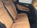 Lexus NX350h 4x4 Executive Alle Extras Modell2026 Blanc - thumbnail 13