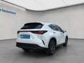 Lexus NX350h 4x4 Executive Alle Extras Modell2026 Blanc - thumbnail 4