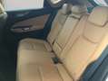 Lexus NX350h 4x4 Executive Alle Extras Modell2026 Blanc - thumbnail 11