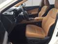 Lexus NX350h 4x4 Executive Alle Extras Modell2026 Blanc - thumbnail 7