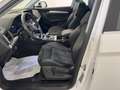 Audi Q5 Q5 40TDI 204 CV quattro S-tronic Business Advanced Bianco - thumbnail 12