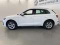 Audi Q5 Q5 40TDI 204 CV quattro S-tronic Business Advanced Bianco - thumbnail 3