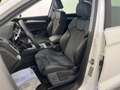 Audi Q5 Q5 40TDI 204 CV quattro S-tronic Business Advanced Bianco - thumbnail 11