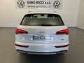 Audi Q5 Q5 40TDI 204 CV quattro S-tronic Business Advanced Bianco - thumbnail 7