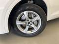 Audi Q5 Q5 40TDI 204 CV quattro S-tronic Business Advanced Bianco - thumbnail 9