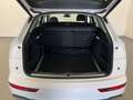 Audi Q5 Q5 40TDI 204 CV quattro S-tronic Business Advanced Bianco - thumbnail 10