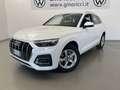 Audi Q5 Q5 40TDI 204 CV quattro S-tronic Business Advanced Bianco - thumbnail 2
