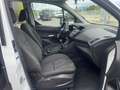 Ford Transit Connect 1.5 TDCI 5 POSTI N1 Euro 6B + IVA Bianco - thumbnail 15
