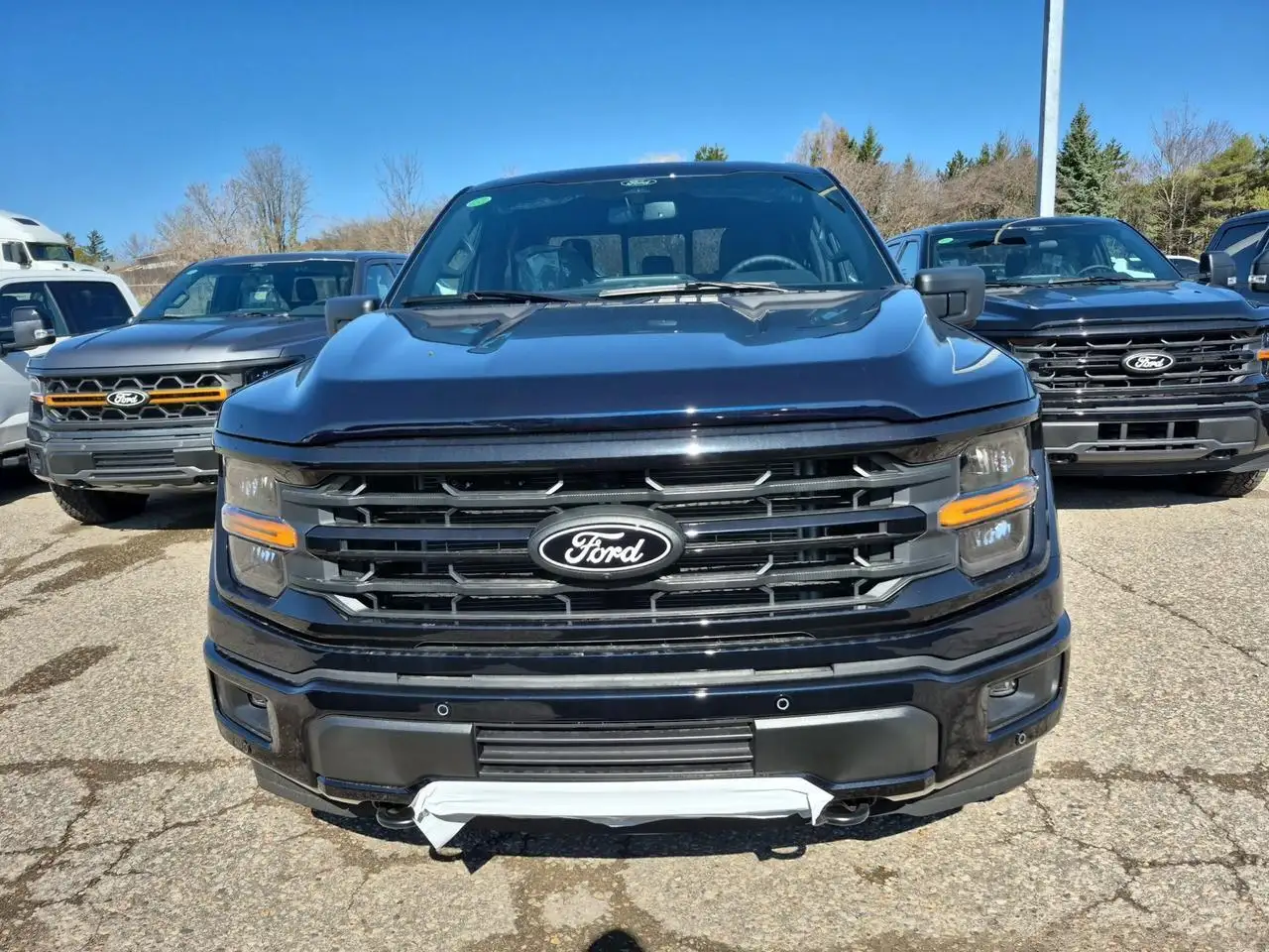Ford F 150 снимка Ford F 150
