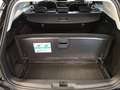 Ford Focus Turnier 1,0 EcoBoost Hybrid Titanium Schwarz - thumbnail 19