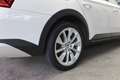 Skoda Superb COMBI SCOUT 2,0 TDI 4X4 VIRTUAL   DCC Weiß - thumbnail 7