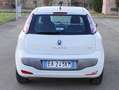 Fiat Punto Evo Punto III 2009 Evo 5p 1.4 Dynamic Gpl 77cv Weiß - thumbnail 21