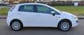 Fiat Punto Evo Punto III 2009 Evo 5p 1.4 Dynamic Gpl 77cv Weiß - thumbnail 12