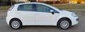 Fiat Punto Evo Punto III 2009 Evo 5p 1.4 Dynamic Gpl 77cv Weiß - thumbnail 10