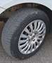 Fiat Punto Evo Punto III 2009 Evo 5p 1.4 Dynamic Gpl 77cv Weiß - thumbnail 5