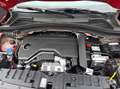 Fiat Grande Panda Hybrid mHEV 110 6-Gang eDCT La Prima Rot - thumbnail 17