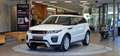 Land Rover Range Rover Evoque SE Dynamic AWD 1-Hand Aut. *Lenkradheizung*Leder* Weiß - thumbnail 1