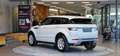 Land Rover Range Rover Evoque SE Dynamic AWD 1-Hand Aut. *Lenkradheizung*Leder* Weiß - thumbnail 6