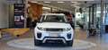 Land Rover Range Rover Evoque SE Dynamic AWD 1-Hand Aut. *Lenkradheizung*Leder* Weiß - thumbnail 2