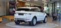Land Rover Range Rover Evoque SE Dynamic AWD 1-Hand Aut. *Lenkradheizung*Leder* Weiß - thumbnail 7