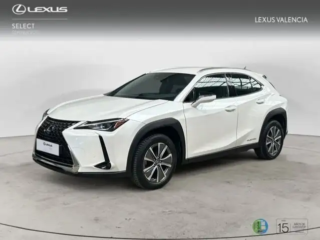 Lexus UX 300e Business