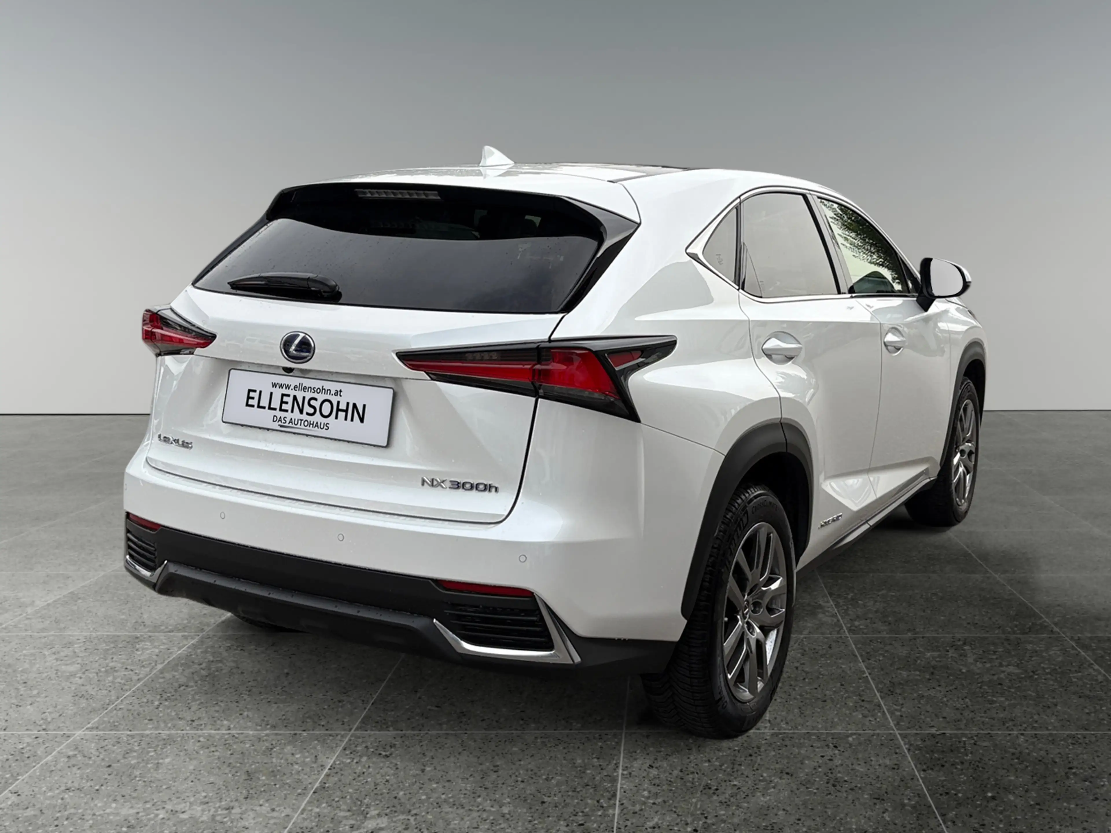 Lexus NX 300h Nx300h — photo 5