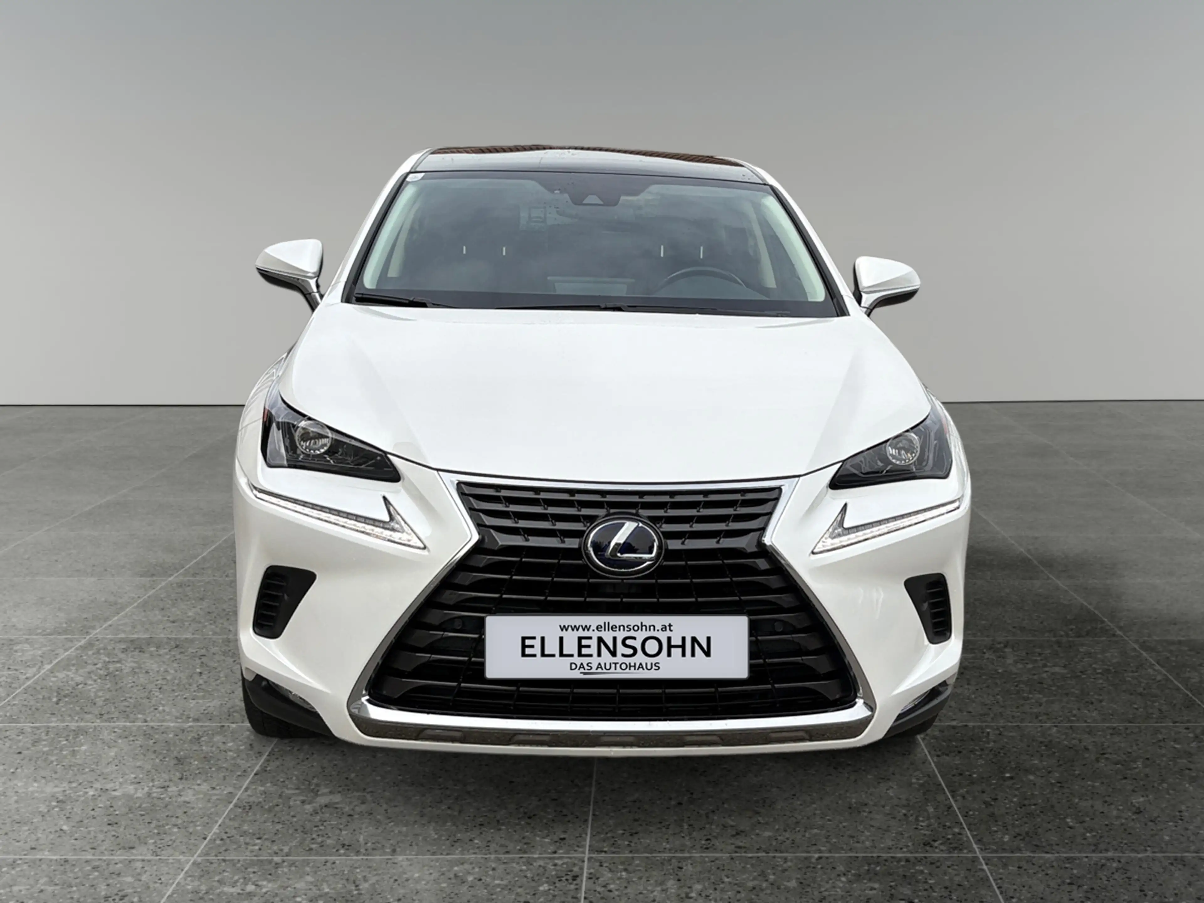Lexus NX 300h Nx300h — photo 8