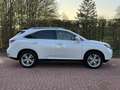 Lexus RX 450h 4WD Trekhaak DEALER 1ste-Eigenaar Blanco - thumbnail 14