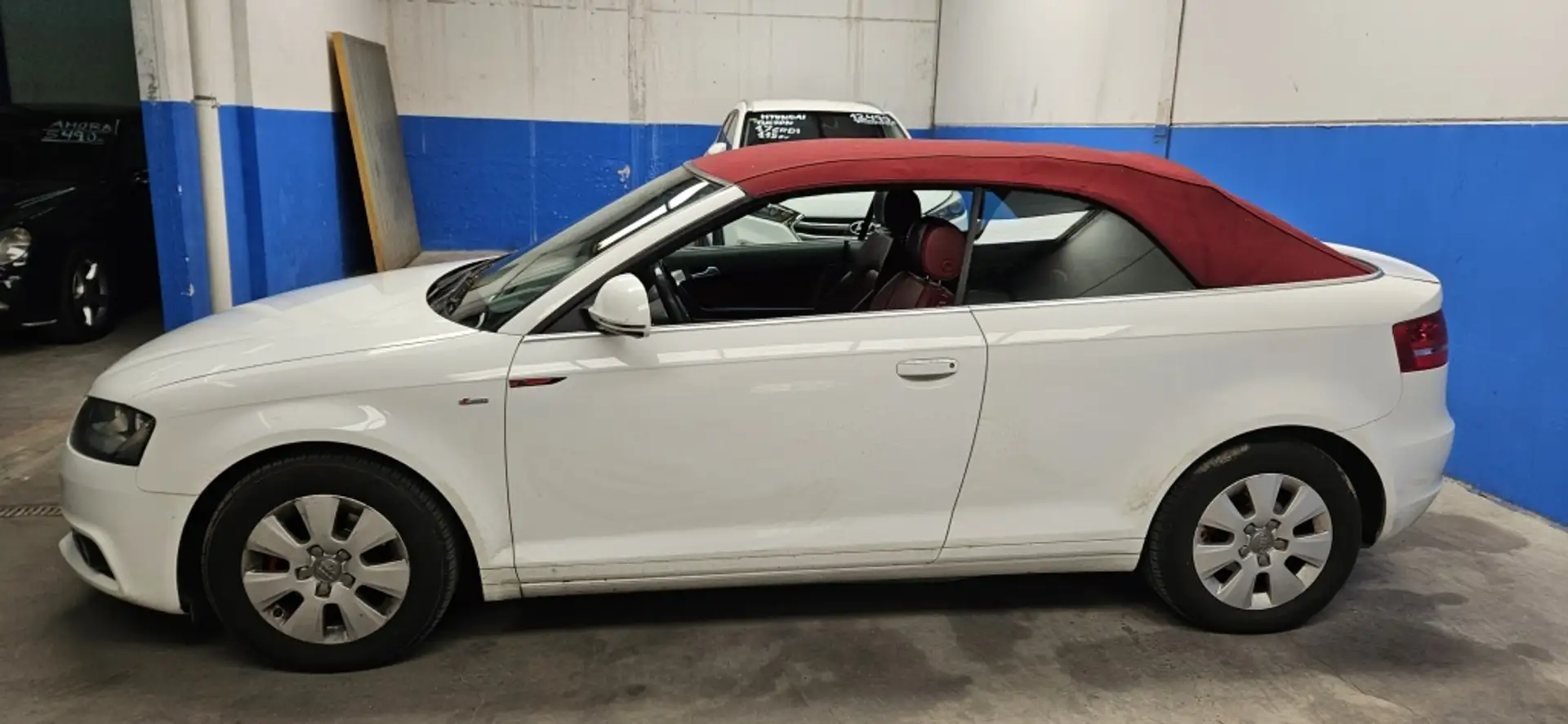 Audi A3 Cabrio 1.6TDI Ambition Blanc - 2