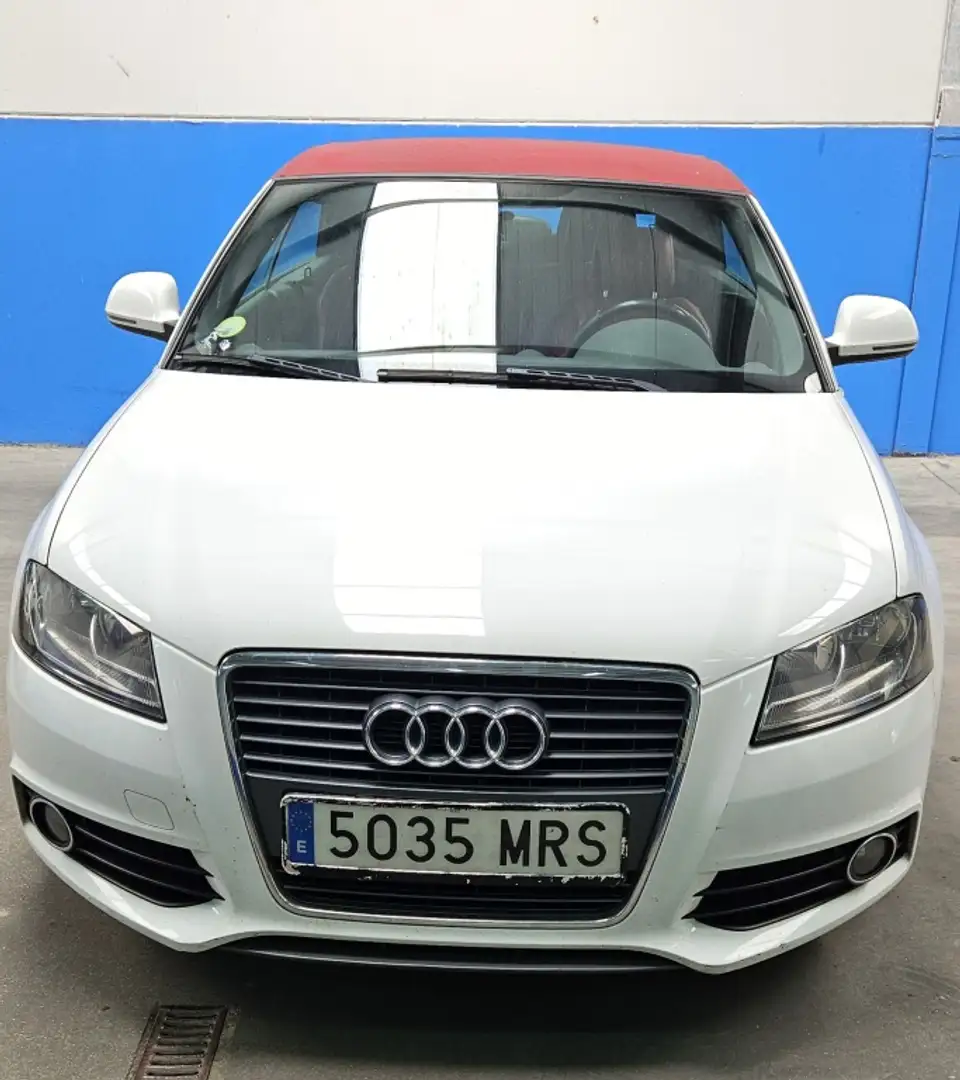 Audi A3 Cabrio 1.6TDI Ambition Blanc - 1