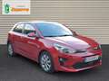 Kia Rio 1.0 T-GDi 74kW (100CV) MHEV iMT Drive Burdeos - thumbnail 7