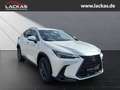 Lexus NX 350h h 243 PS ** 15 Jahre Gar antie ** Sitzklima Connect - Paket 360°Kamera Blanc - thumbnail 7