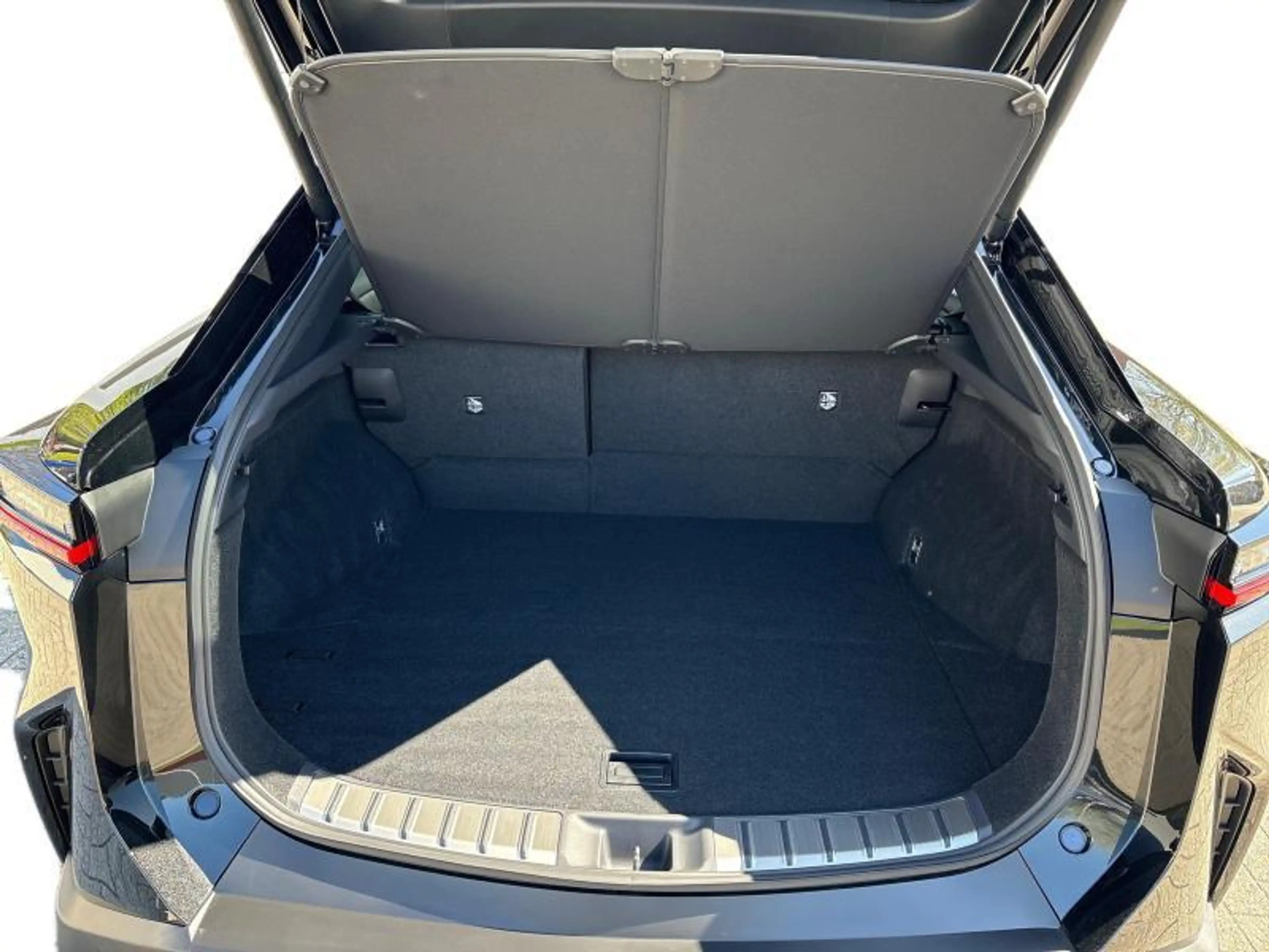 Lexus RZ 350e Executive Line — photo 9