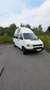 Volkswagen T4 Transporter T4 TDI 7DA1Y2 Weiß - thumbnail 10