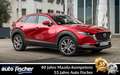 Mazda CX-30 2.0 (186PS) Autom. Homura Sitzheizung Navi Rosso - thumbnail 1