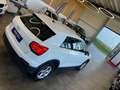 Audi Q2 35 TFSI *Virtuel*Xenon*Navi*Klima* Weiß - thumbnail 18