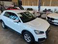 Audi Q2 35 TFSI *Virtuel*Xenon*Navi*Klima* Weiß - thumbnail 19