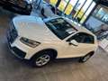 Audi Q2 35 TFSI *Virtuel*Xenon*Navi*Klima* Weiß - thumbnail 24