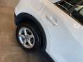 Audi Q2 35 TFSI *Virtuel*Xenon*Navi*Klima* Weiß - thumbnail 50