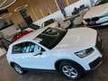 Audi Q2 35 TFSI *Virtuel*Xenon*Navi*Klima* Weiß - thumbnail 20